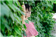 小天水电工硬小天余越