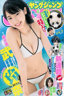 石敢当之雄峙天东电视剧免费观看全集完整版