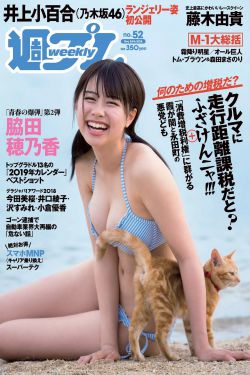 一触即发电视剧演员表