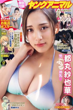 一触即发电视剧演员表